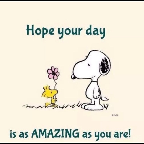 🌊🩵🐾🐾 1-26 SHARES GROUP 🐾🩵🌊 - Picture 5 of 17